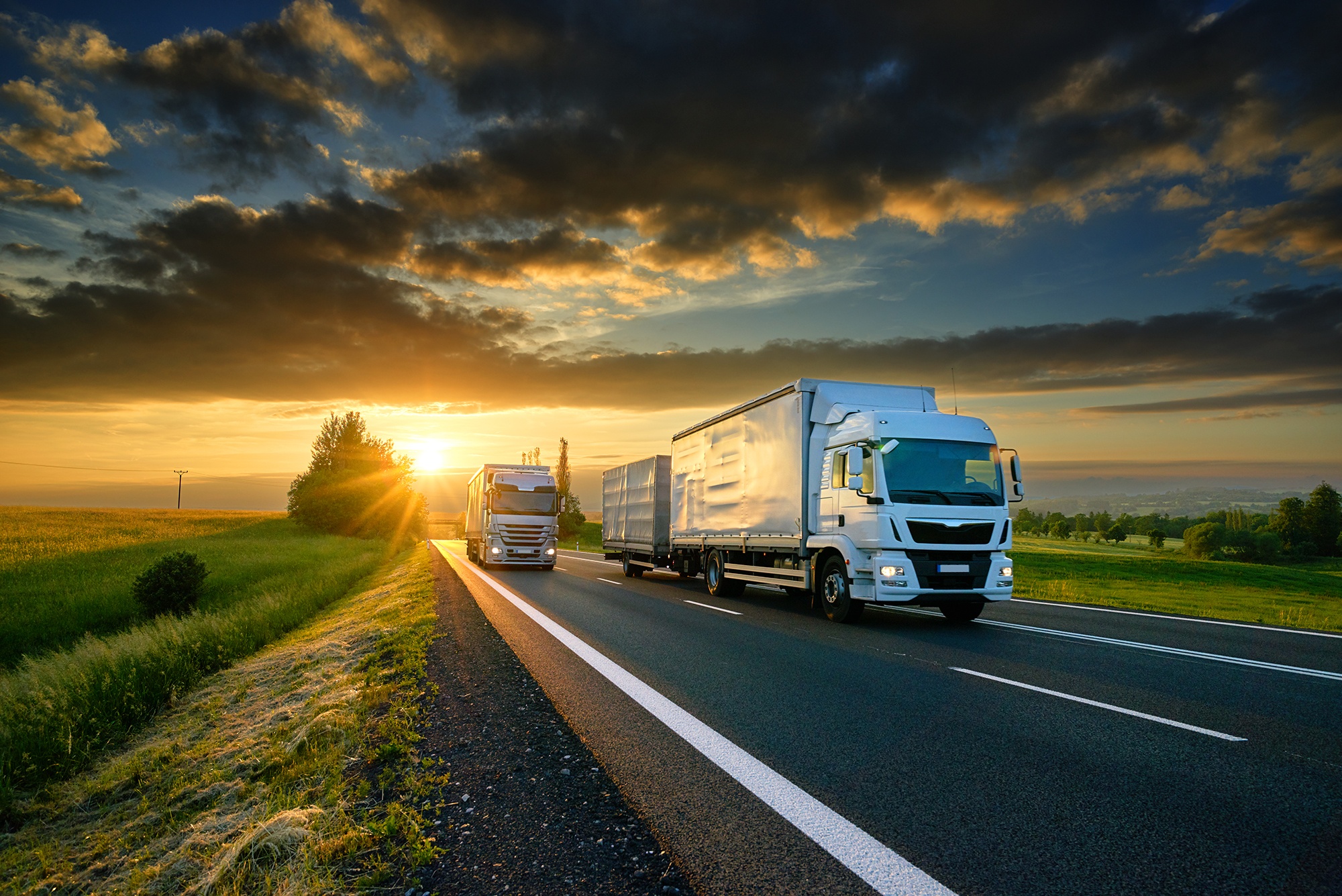 fleet-web travel Insurance toranto